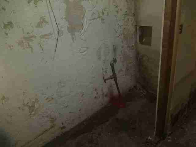 Testing again(45).jpg